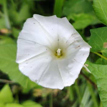 2025-07-27T15_12_31+02_00