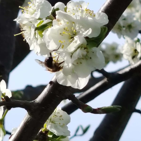 2d2df30e-d0f1-4b59-86d0-1a7b88dd25a9