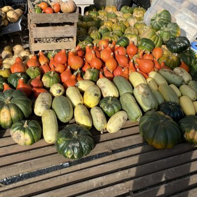 4b47a5a2-0295-4dee-b7e0-046cd84695e01