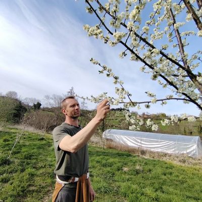 65c8ec50-ad49-4138-8ce2-a8f7c7726fe5