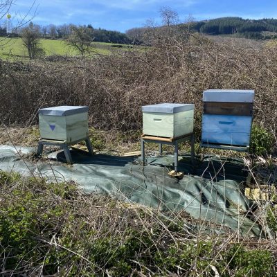 7be394c5-1abb-40a4-81c8-c7f26a230de5