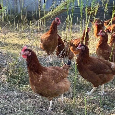 7d3c476b-bee1-41a5-b172-882c0c528ab9