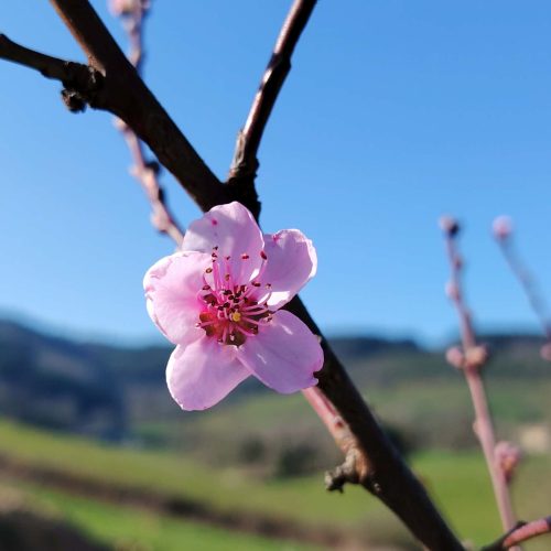 a1485684-cb65-4c80-8e21-fa4396efba7f