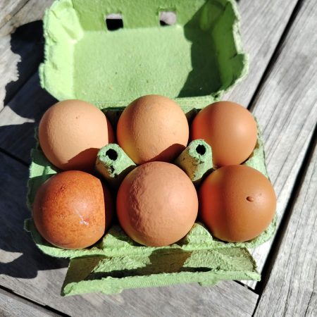 c80b86c1-5345-441f-b10b-05273408b9e4