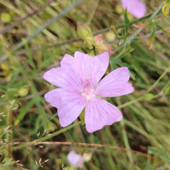 fea9e1e6-f733-46a2-b11d-9d865fa7e7911